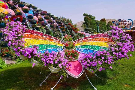 Dubai Butterfly Garden